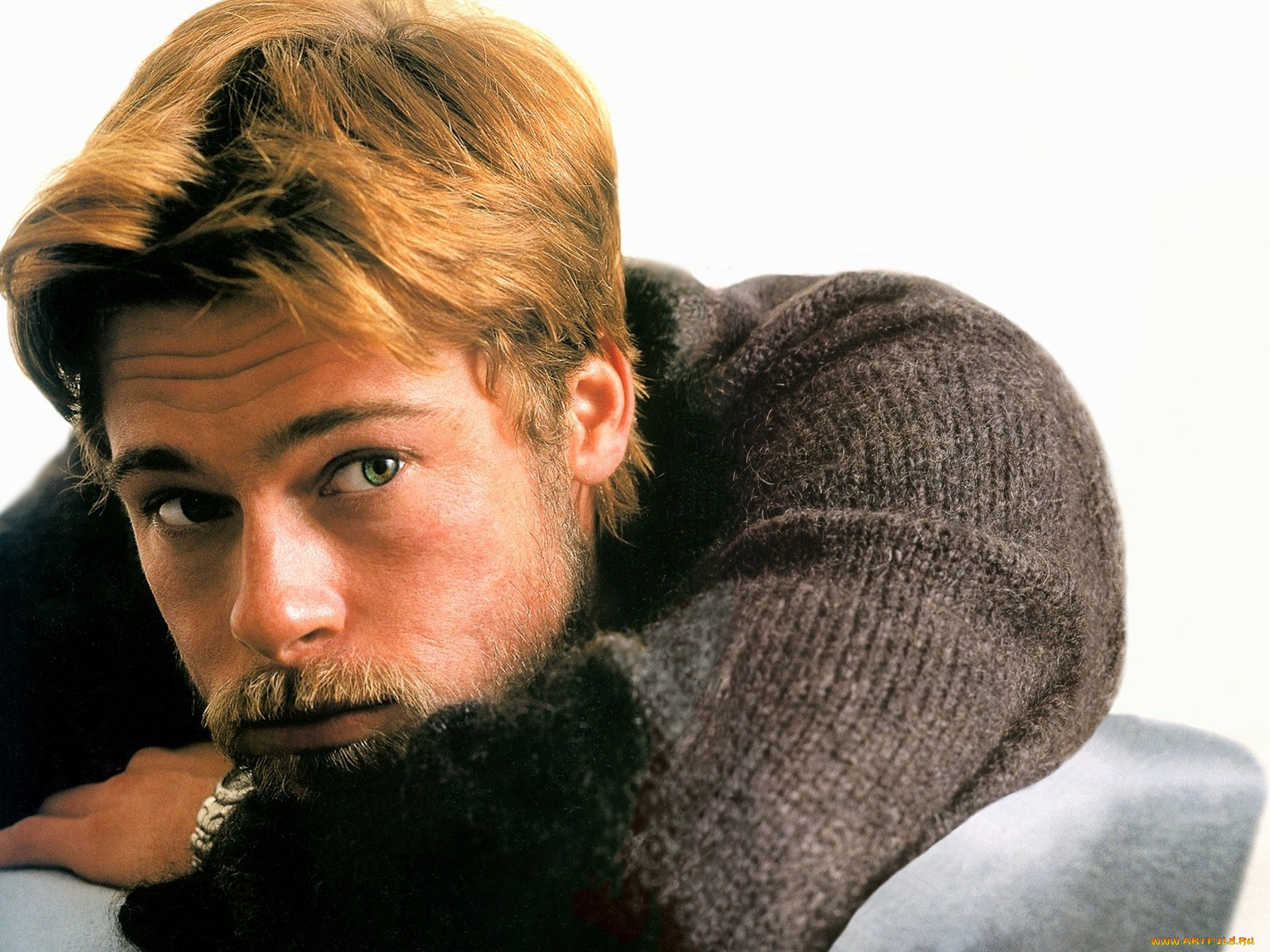 , brad, pitt, 